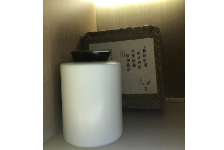千年香樟古树茶